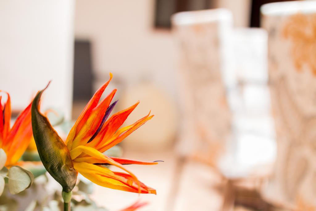 Apartament La Torre Kordoba Zewnętrze zdjęcie